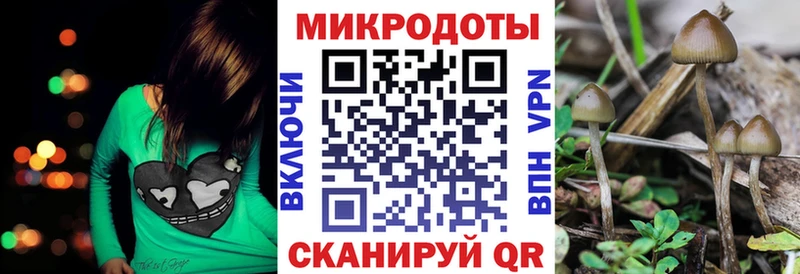 Псилоцибиновые грибы GOLDEN TEACHER  Купить закладки  Котельники 